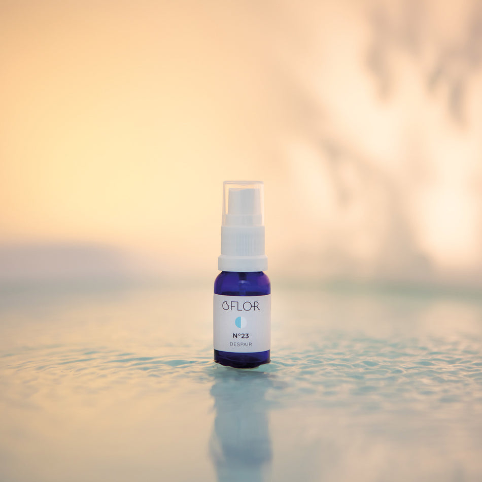 O'Flor n°23 Despair
