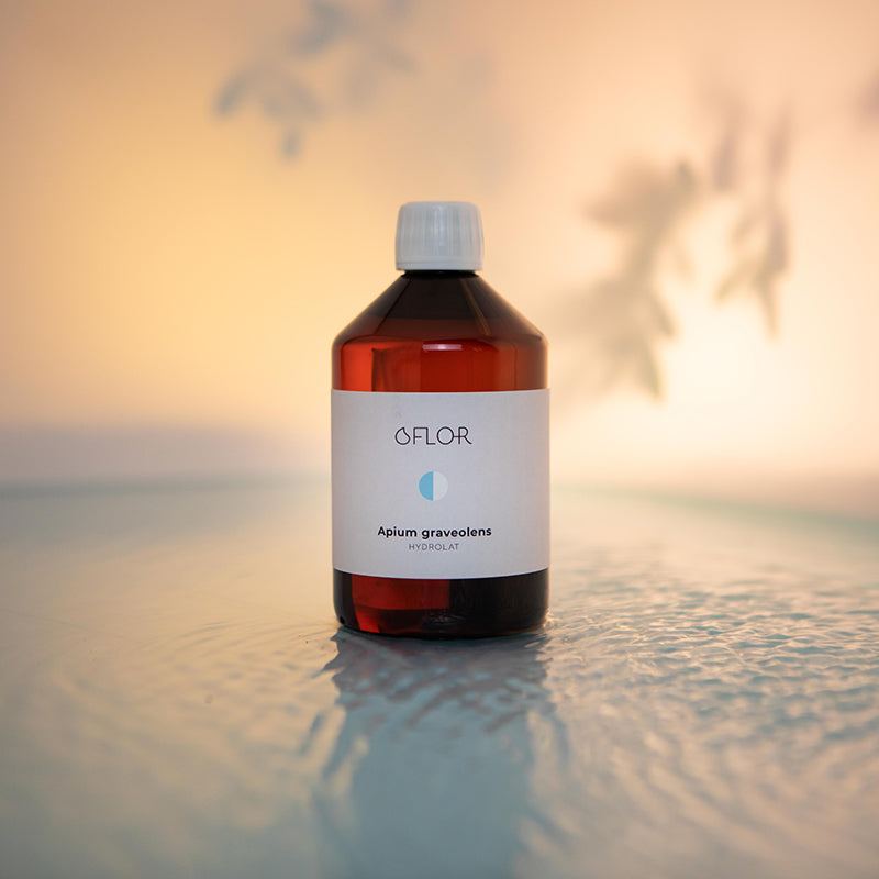 Hydrolat de Céleri